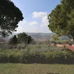 Le Curve Di Montegallo, Cozy Family By The Conero Osimo
