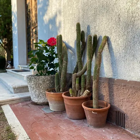 Le Curve Di Montegallo, Cozy Family By The Conero